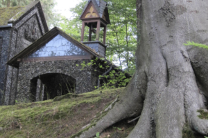 Baum bei den heiligen Orten zu Arenberg
